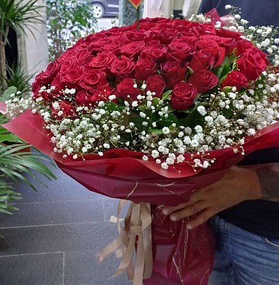 101 rose rosse