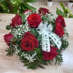 Cuscino rose rosse 70€